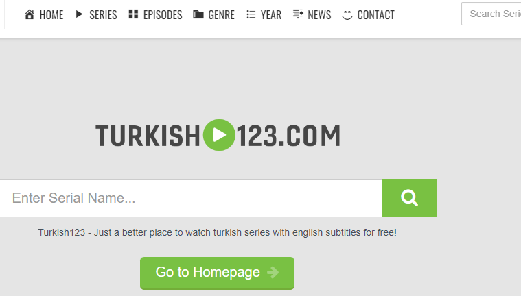 Turkish123 Review: Is the Site a scam or legit? An Expert View